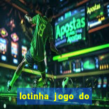 lotinha jogo do bicho como funciona